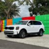 058b02cc-7f25-4c8f-b8cb-8fb9536744d3 Kia Telluride