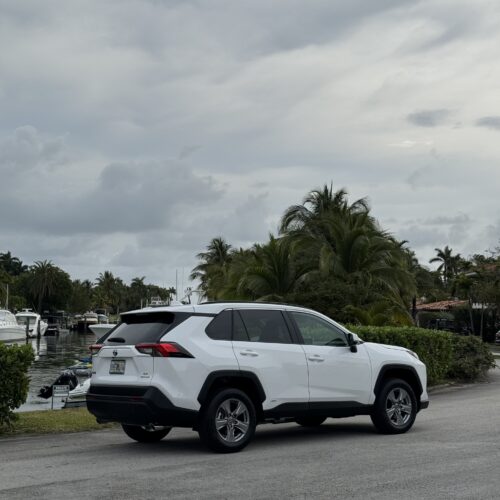 IMG_0235 Toyota Rav4 Hybrid