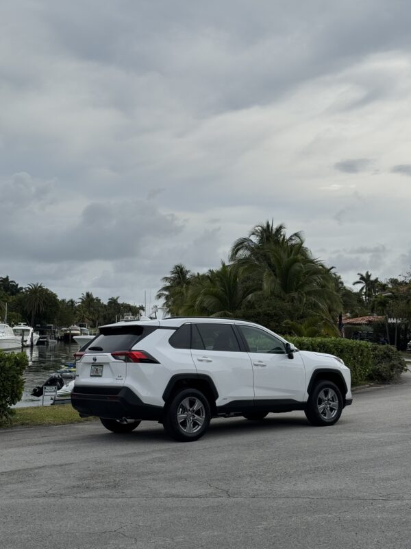 IMG_0235 Toyota Rav4 Hybrid
