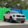 b0265474-e041-424d-ac9c-21be9eee1ff9 Kia Telluride